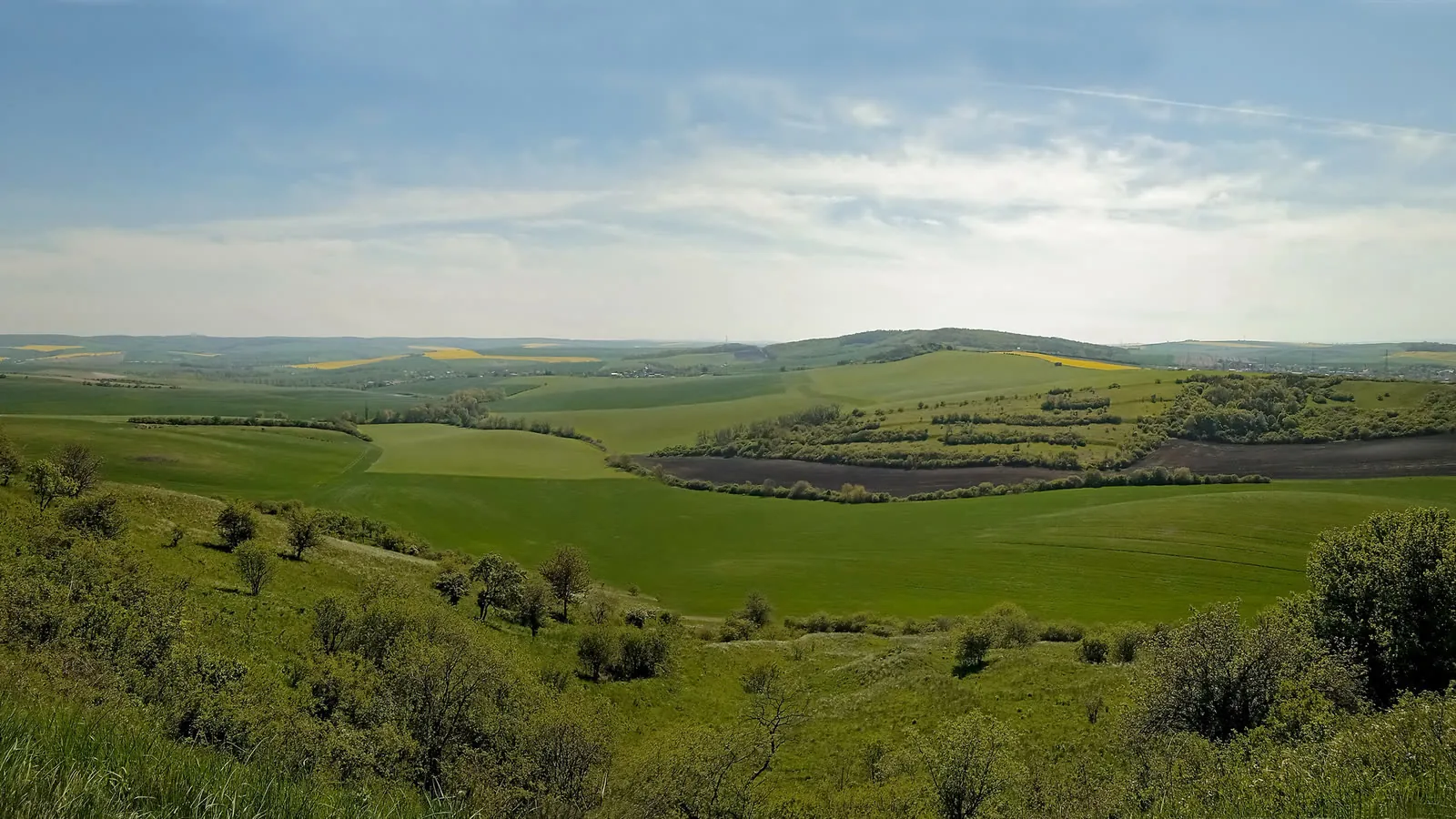Krajina přírodní rezervace Větrníky nad Letonicemi